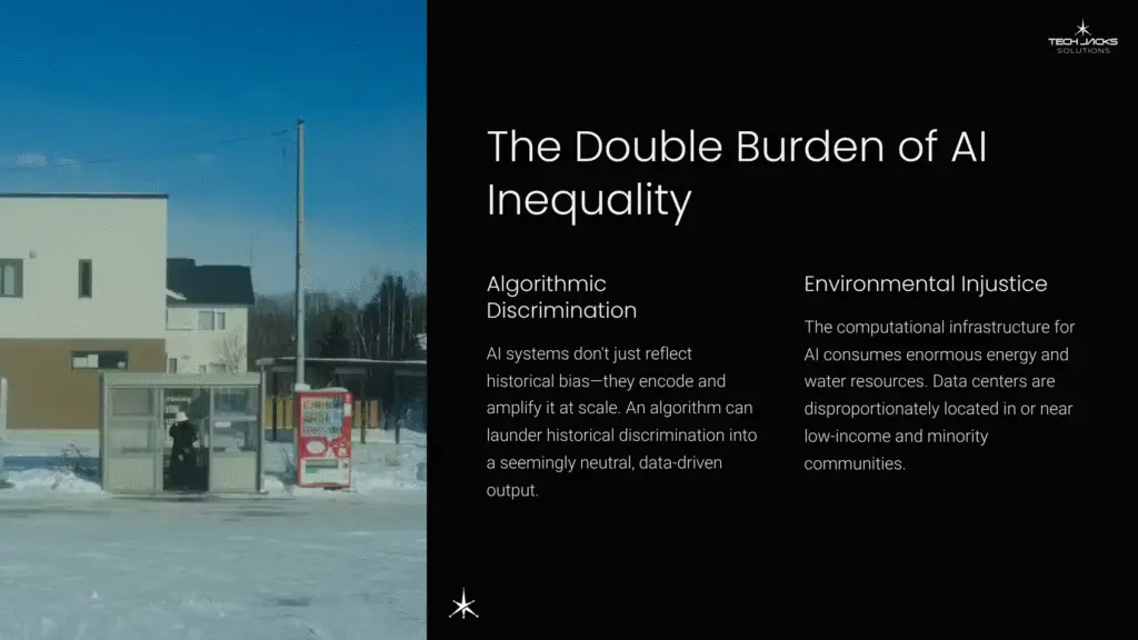17 The Double Burden of AI Inequality