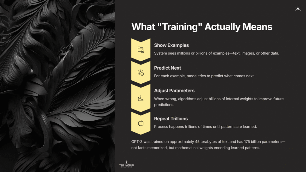 10 What Training Actually Means 2