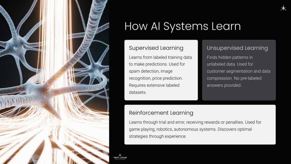 6 How AI Systems Learn