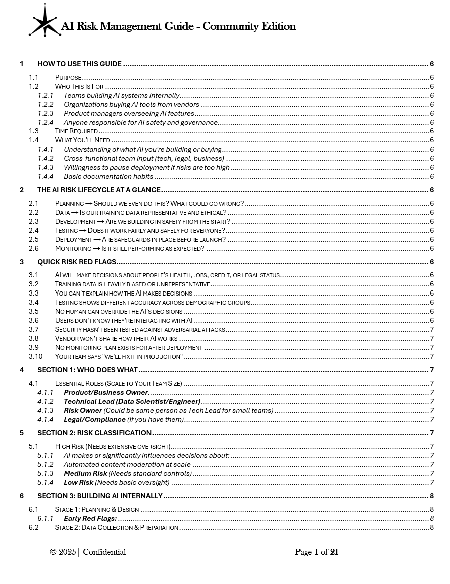AI Risk Management Guide