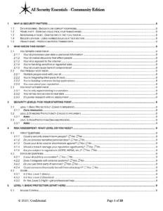 AI Security Essentials Community Edition pg.1