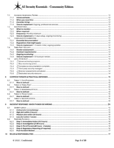 AI Security Essentials Community Edition pg.3