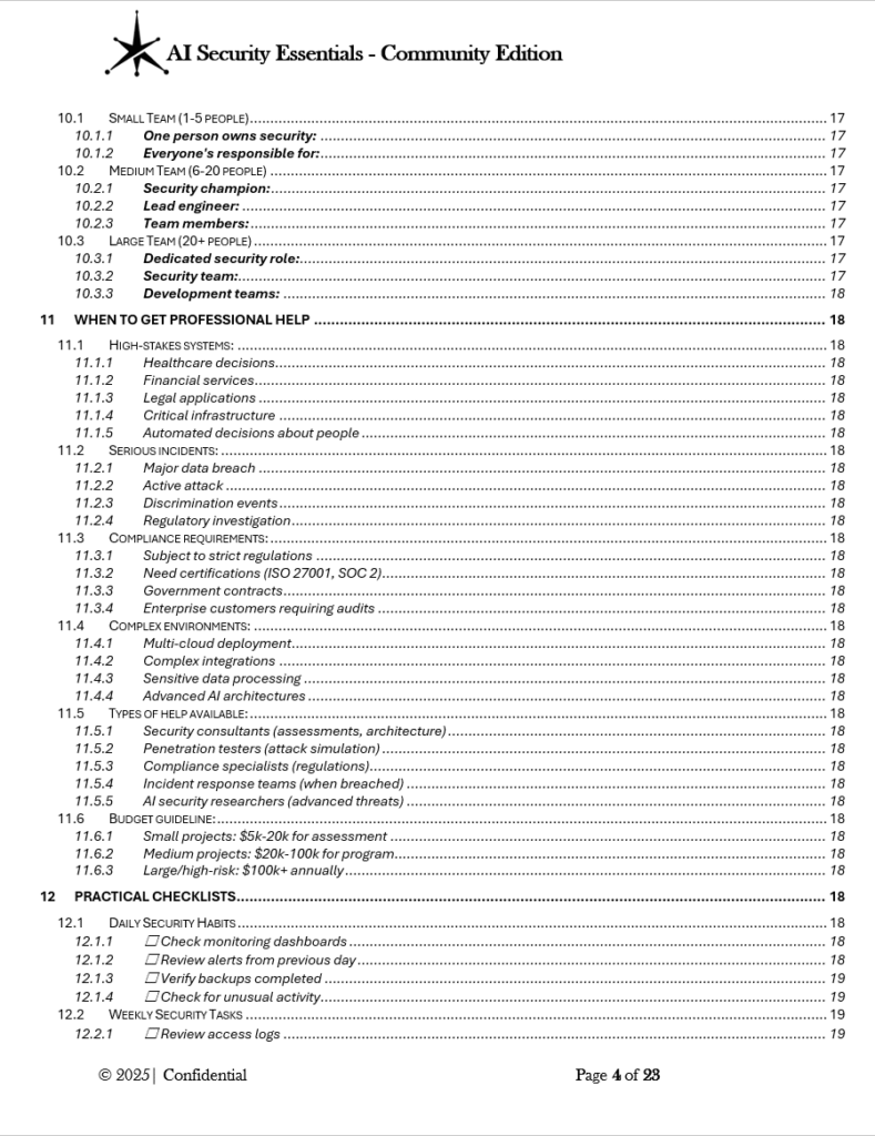 AI Security Essentials Community Edition pg.4