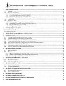 AI Transparency and Explainability Guide