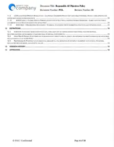 Responsible AI Objectives Policy Template pg.4