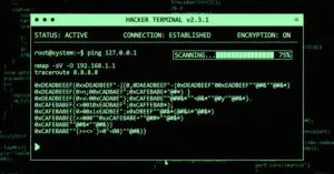 hackers flS3sW