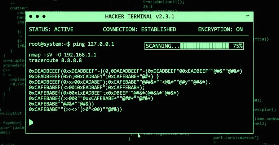 hackers flS3sW