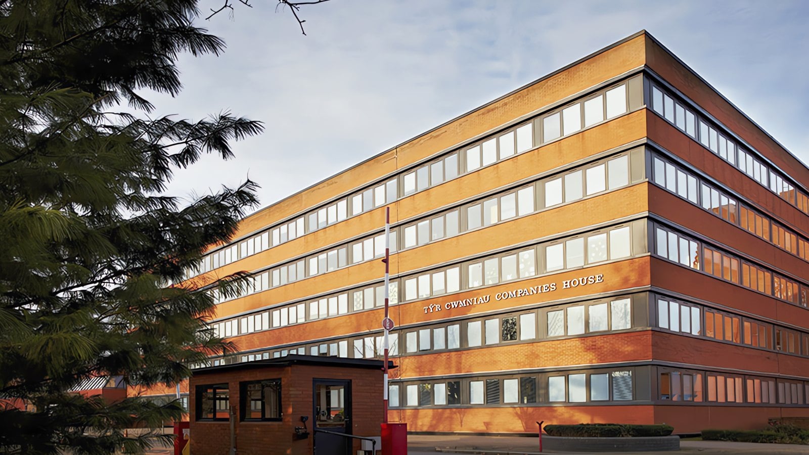 Companies House XWtNns